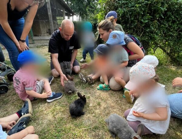 Micro-crèche Les Tibidous à Essarts-en-Bocage