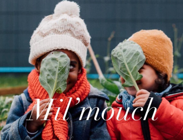 Crèche Écolo Mil’mouch à Bray-sur-Seine