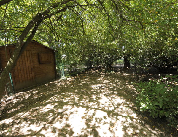 Crèche Equal à Bron