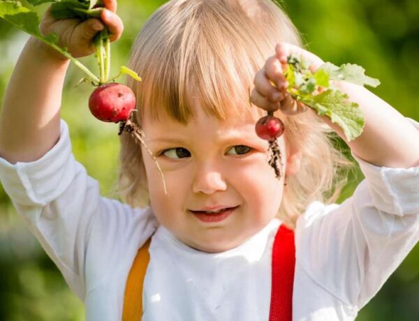 Crèche la jardinière à Tours