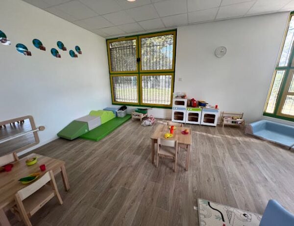 Micro-crèche Carrousel et Câlins à Lisses