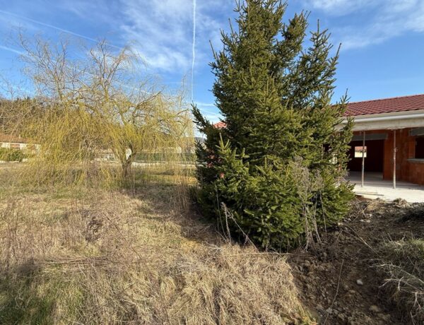 Micro-crèche La Tribu des Arbres à Crépol