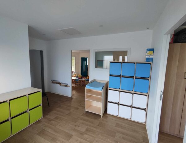 Les minis chatons de Conilhac-Corbières