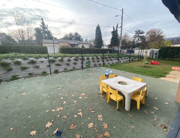 Les minis chatons de Pradines