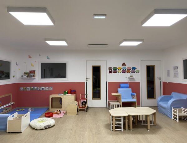 Les minis chatons de Pradines