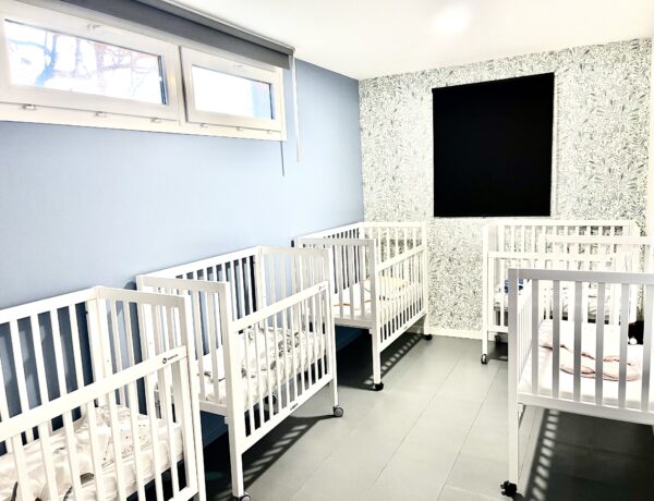 Le jardin des coccinelles – saint ouen l&rsquo;aumone