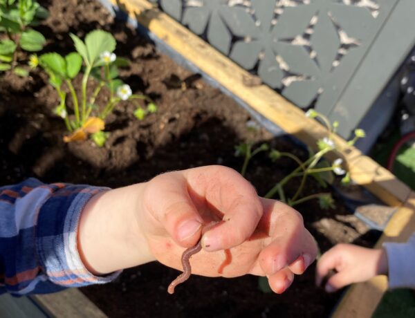 Micro-crèche LES PAPILLONS – Vergèze